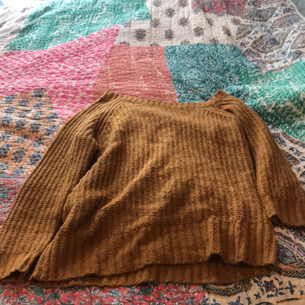 American Eagle Acorn Off-Shoulder Sweater